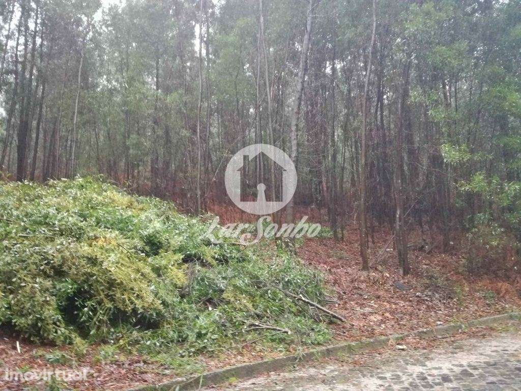 Terreno Rústico c/ 26.000 m2 em Canidelo, Vila do conde - Grande imagem: 2/2