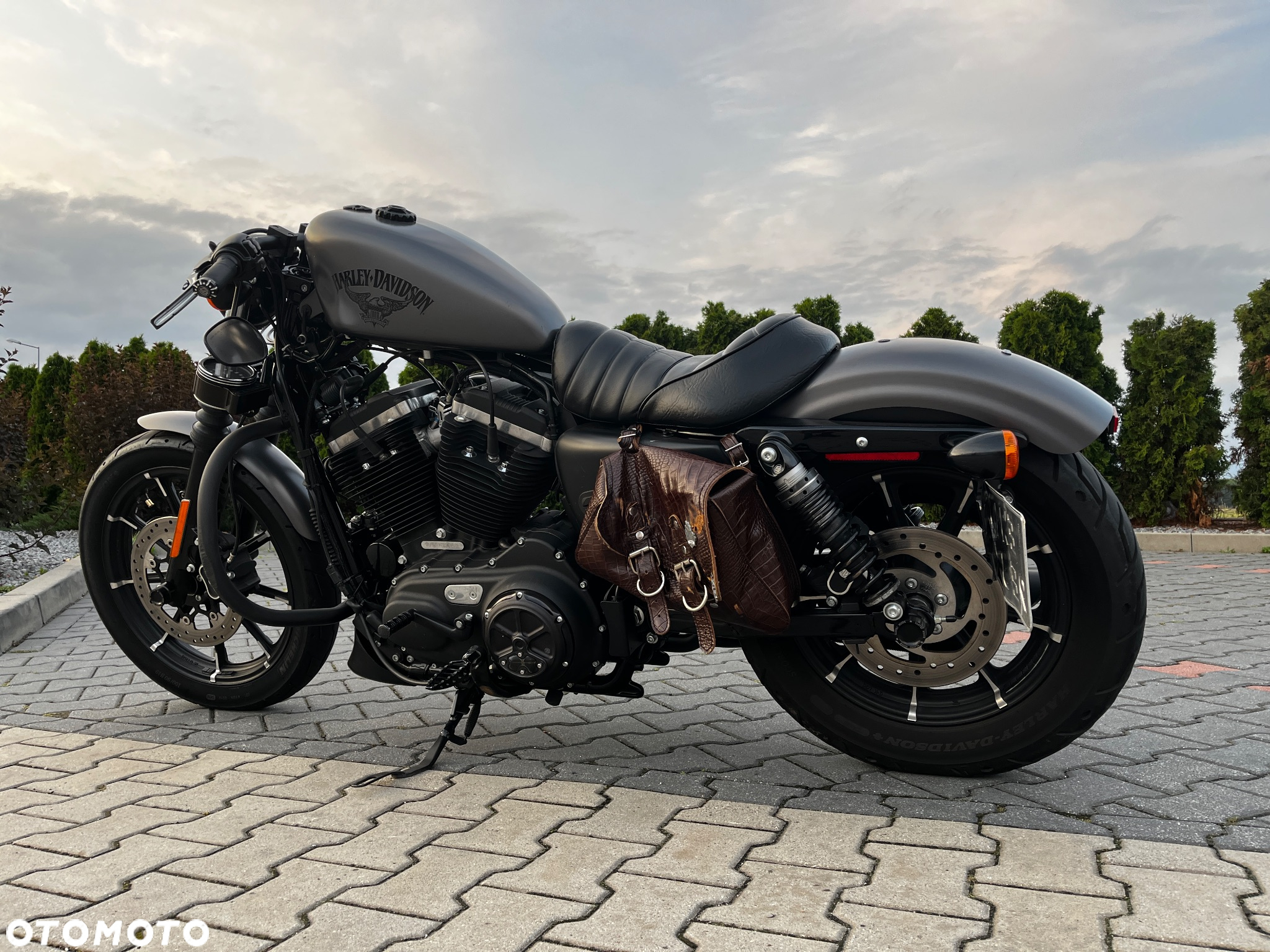 Harley-Davidson Sportster Iron 883 - 6