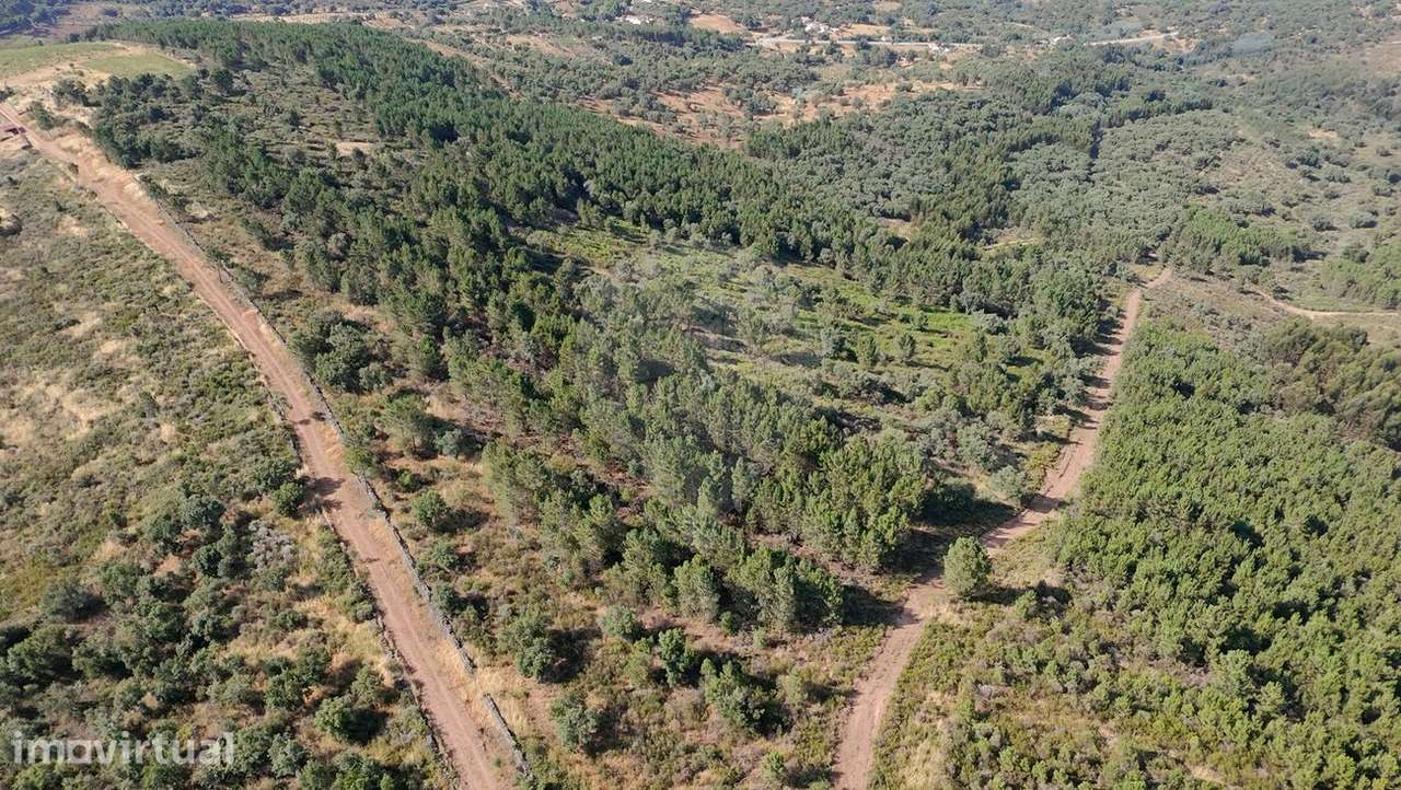 Terreno  para venda - Grande imagem: 3/29