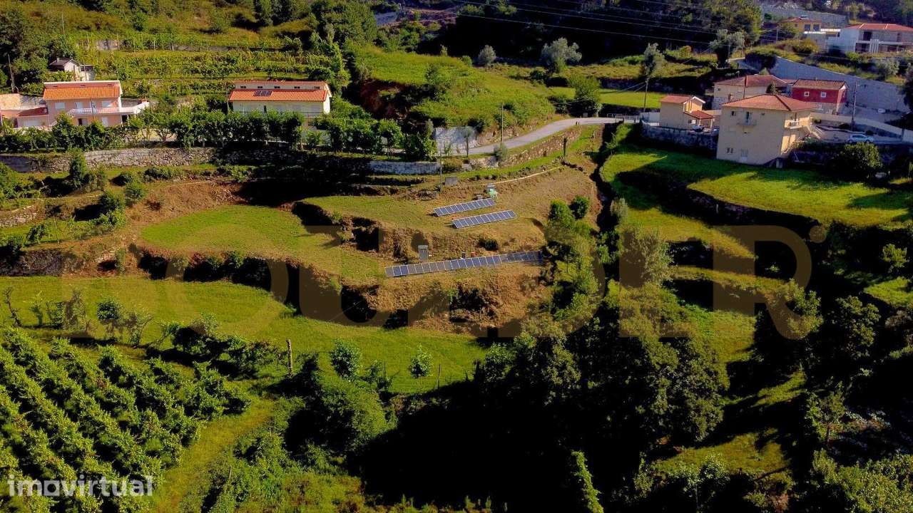 Conjunto de 2 Terrenos Agrícolas – 7.200 m² - Grande imagem: 3/6
