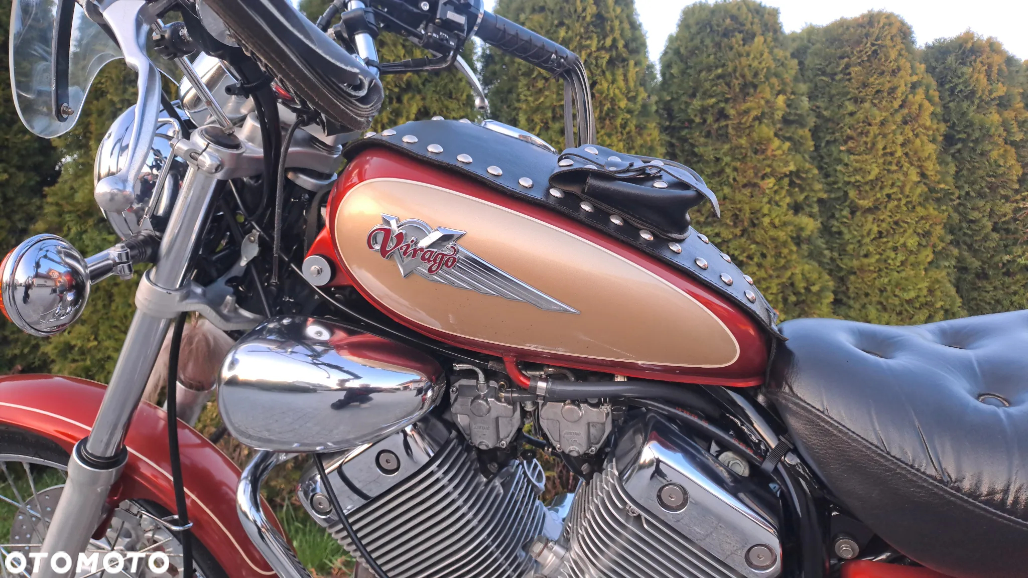 Yamaha Virago - 30