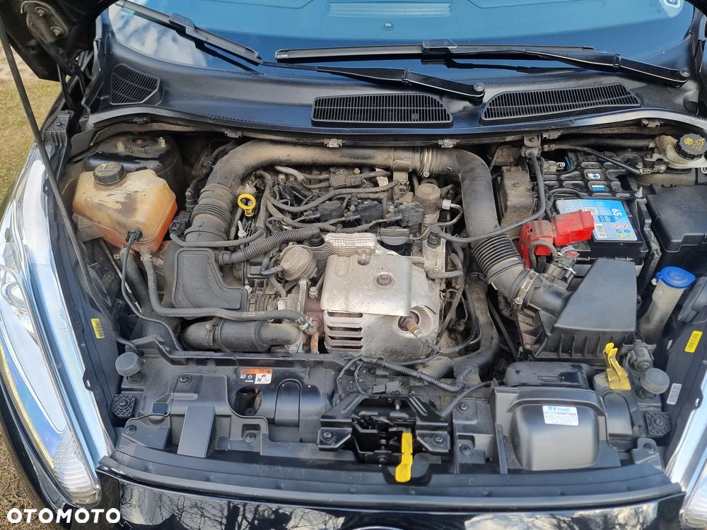 Ford Fiesta - 19