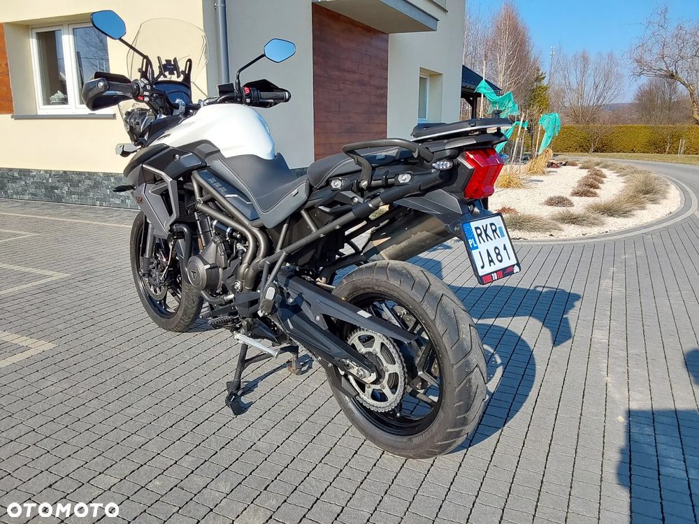 Triumph Tiger - 4
