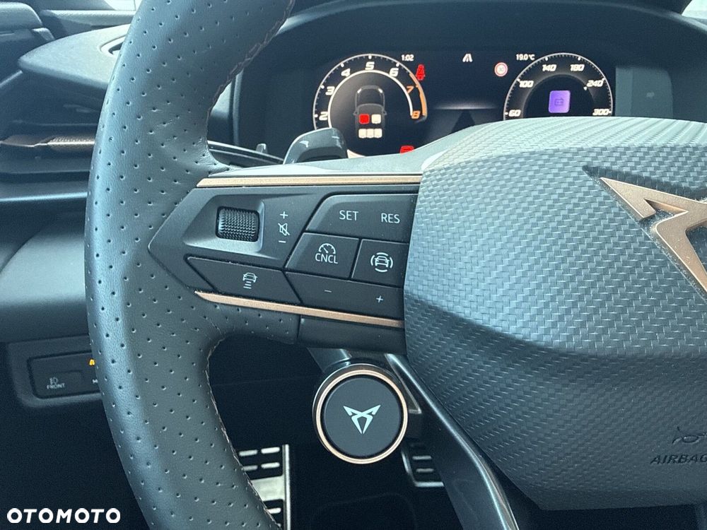 Cupra Terramar - 15