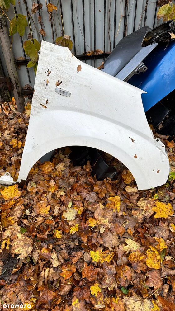 PRAWY BLOTNIK FIAT FIORINO QUBO BIPPER NEMO