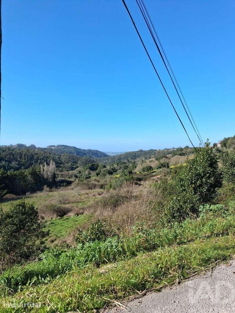 Terreno misto em Turquel - Grande imagem: 4/6