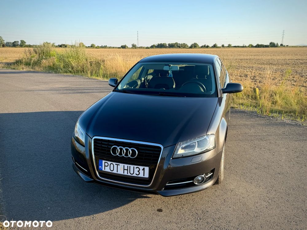 Audi A3 Sportback 1.6 TDI DPF Attraction - 17
