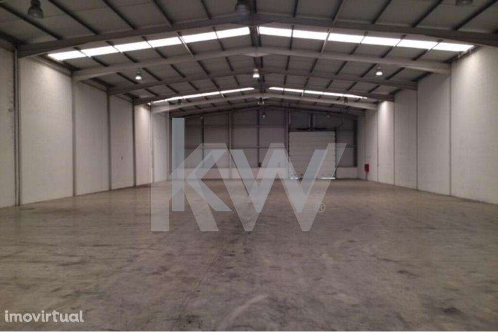 Armazém com 1007m2 + 212m2 de escritório, Águeda Park  Centro de Negóc - Grande imagem: 2/21