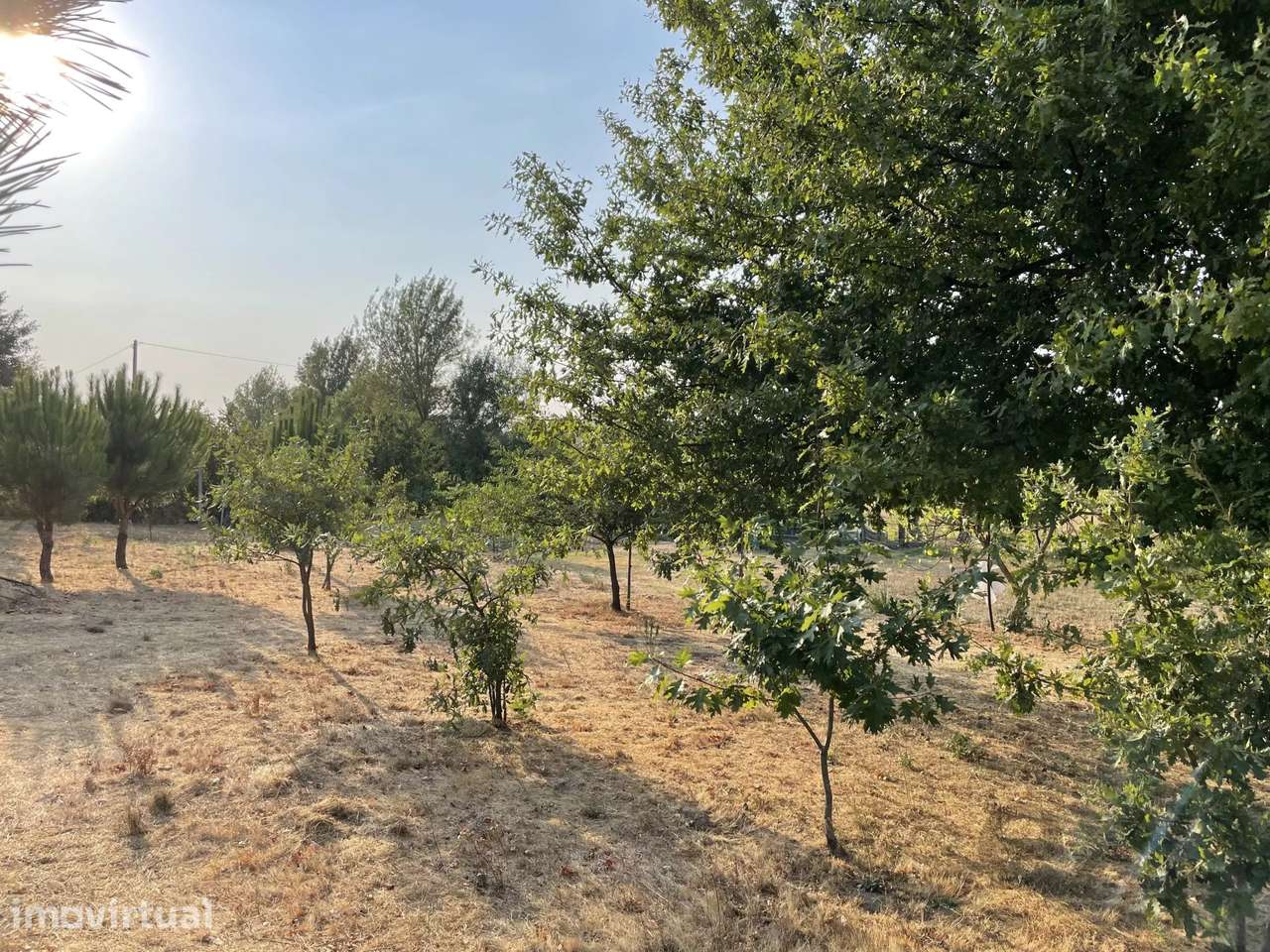 Terreno Agrícola para venda em Vila Verde, Seia - Grande imagem: 3/42