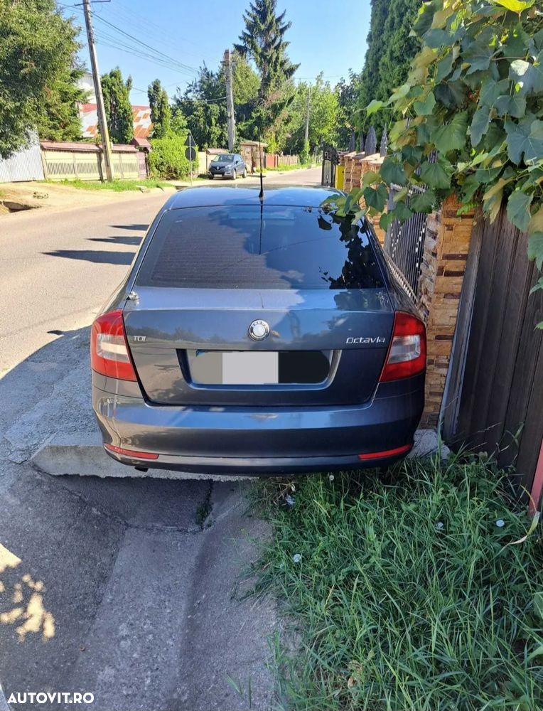 Skoda Octavia 1.6 TDI Classic - 2