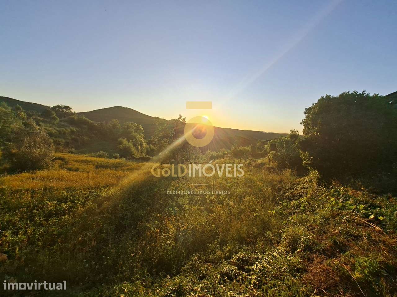 Quintinha  Venda em Real,Castelo de Paiva - Grande imagem: 3/19