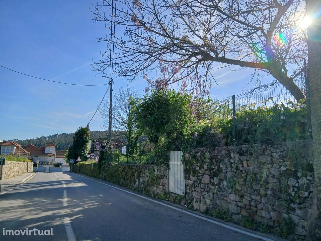 Terreno rústico com certificado de viabilidade de construção - Grande imagem: 3/8