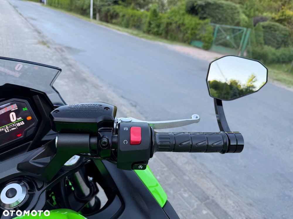 Kawasaki Ninja - 11