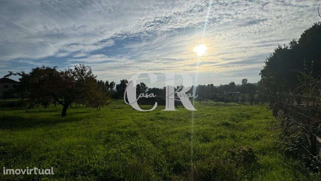 Terreno com viabilidade de construção - Grande imagem: 3/12