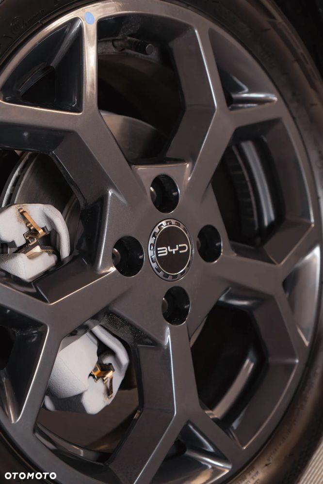 BYD Dolphin Surf - 5