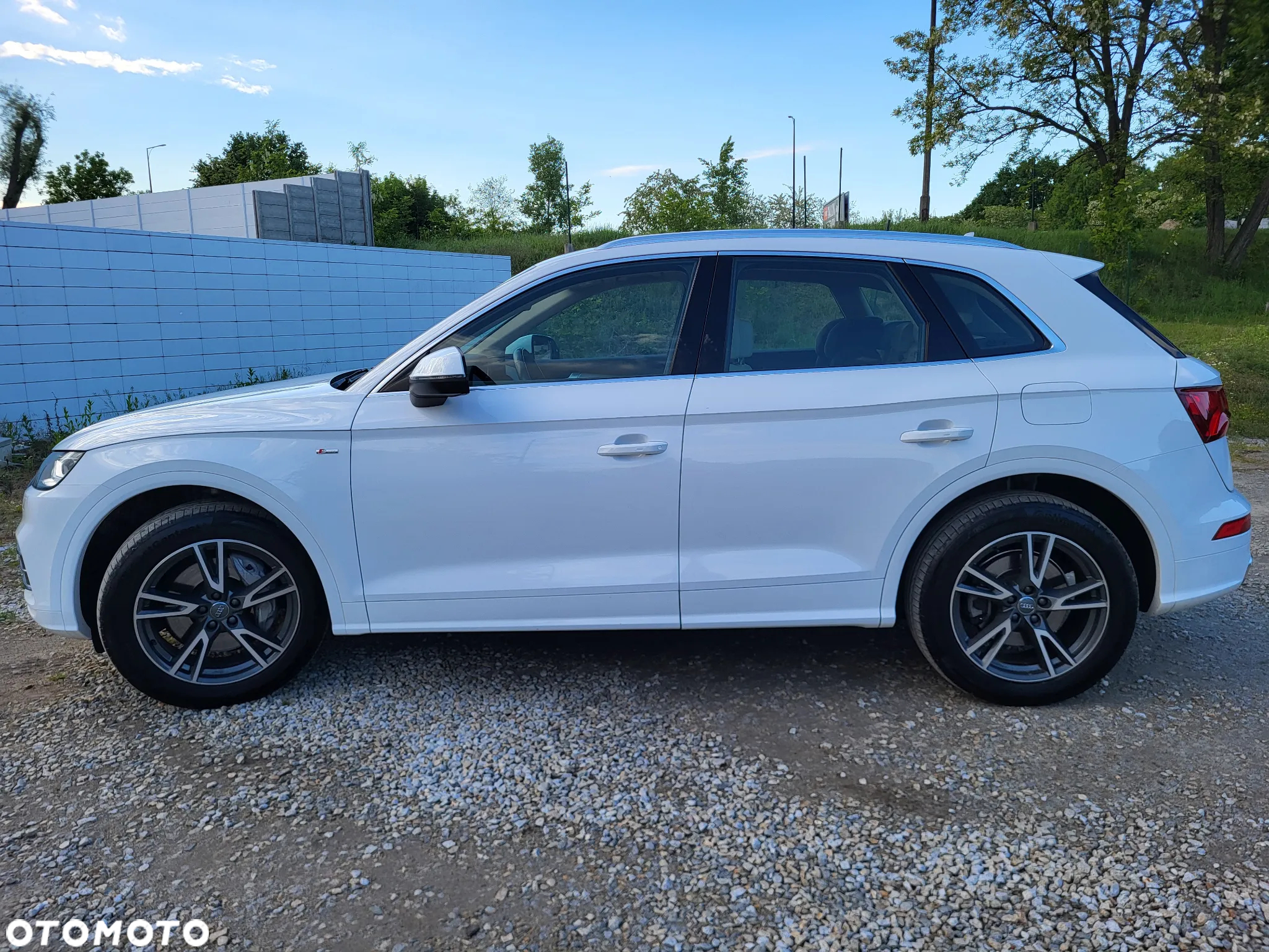 Audi Q5 55 TFSIe quattro S tronic S line business - 6
