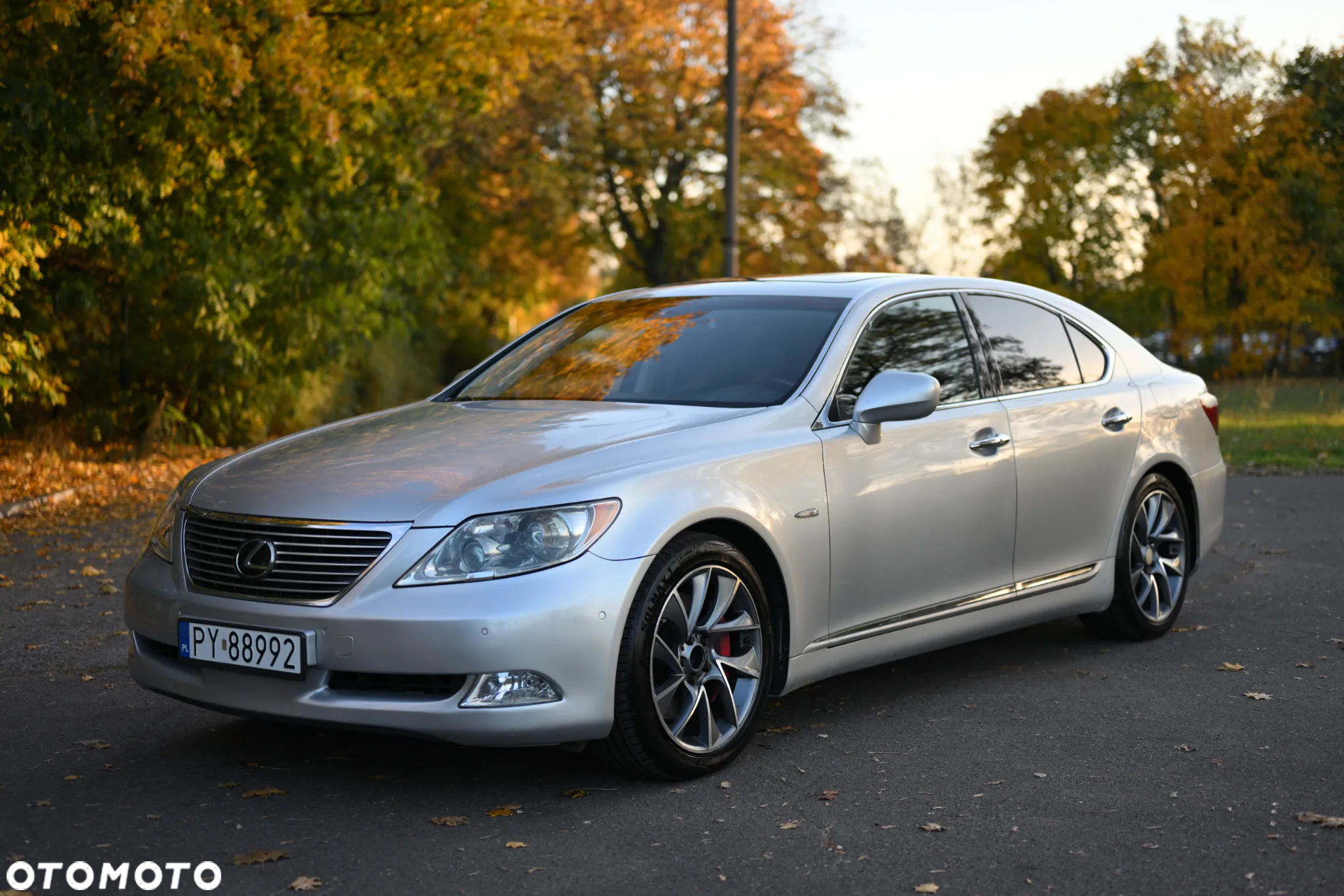 Lexus LS 460 Dynamic Line + Impression Line - 18
