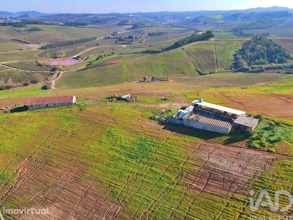 Quinta em Peral de 92520,00 m2 - Grande imagem: 2/30