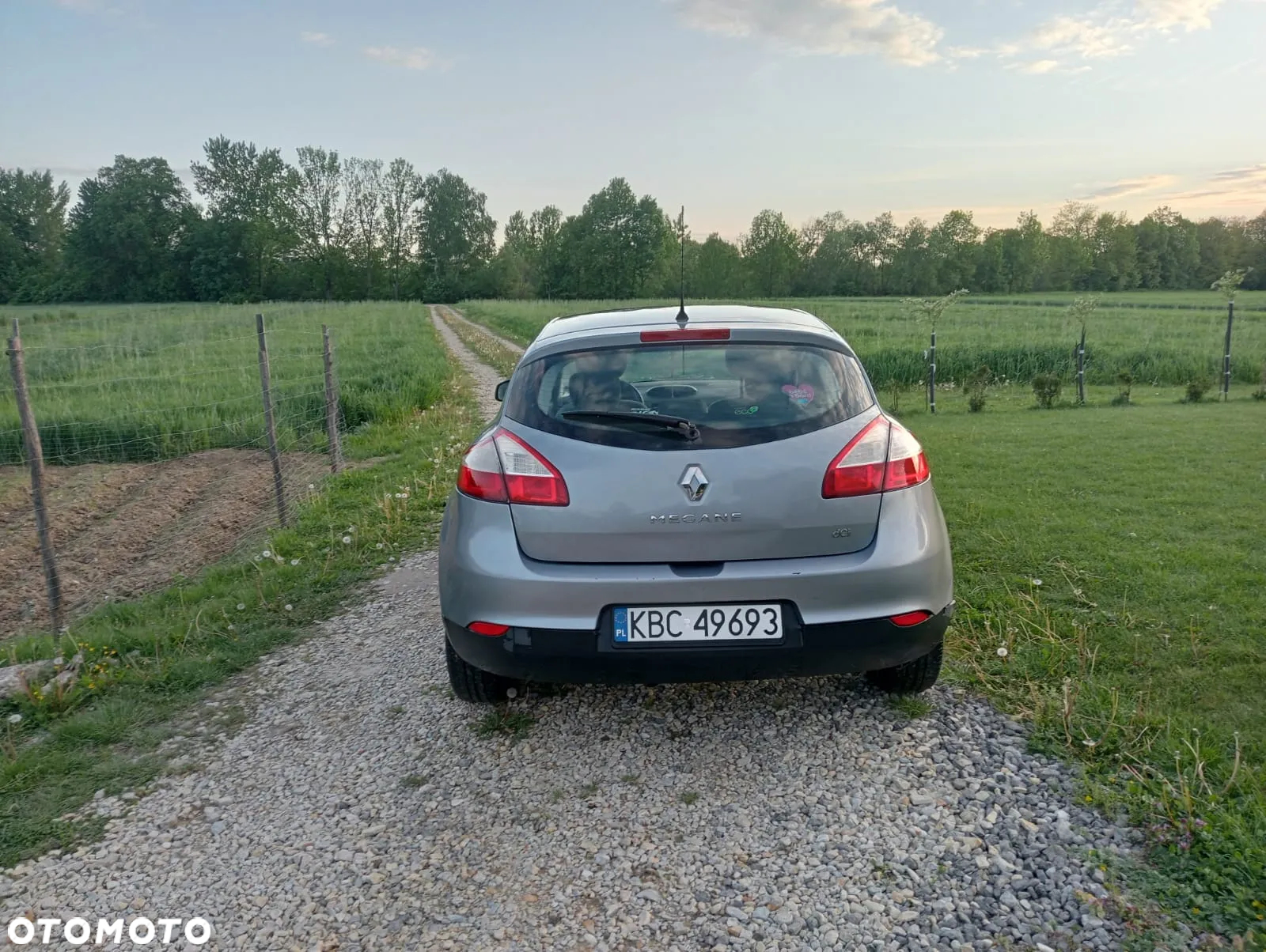 Renault Megane 1.5 dCi Color Edition - 3