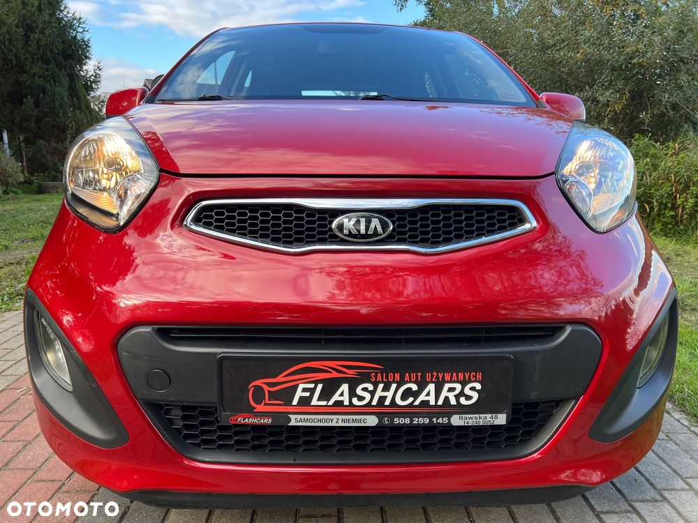 Kia Picanto 1.0 Dream Team Edition - 8