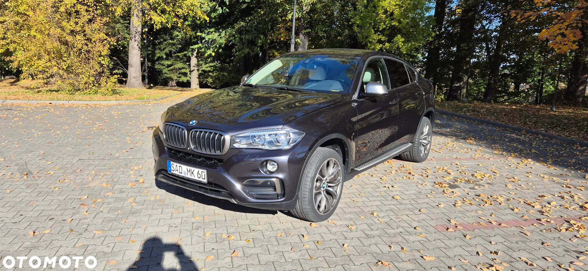 BMW X6 xDrive30d - 1
