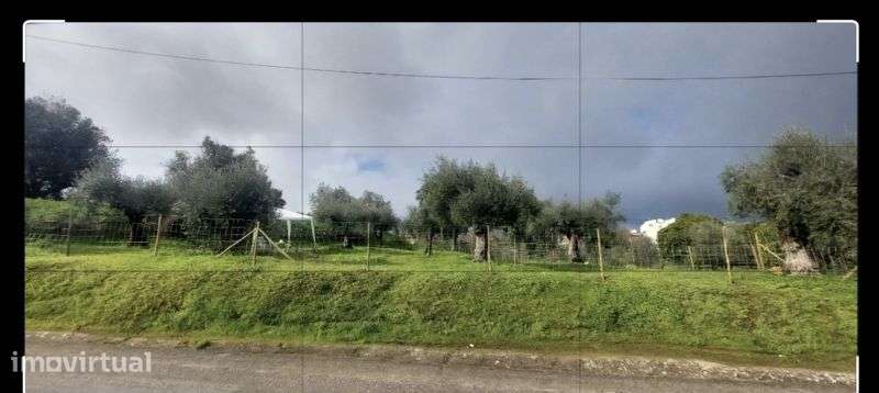 Terreno de sonho. Particular - Grande imagem: 4/6