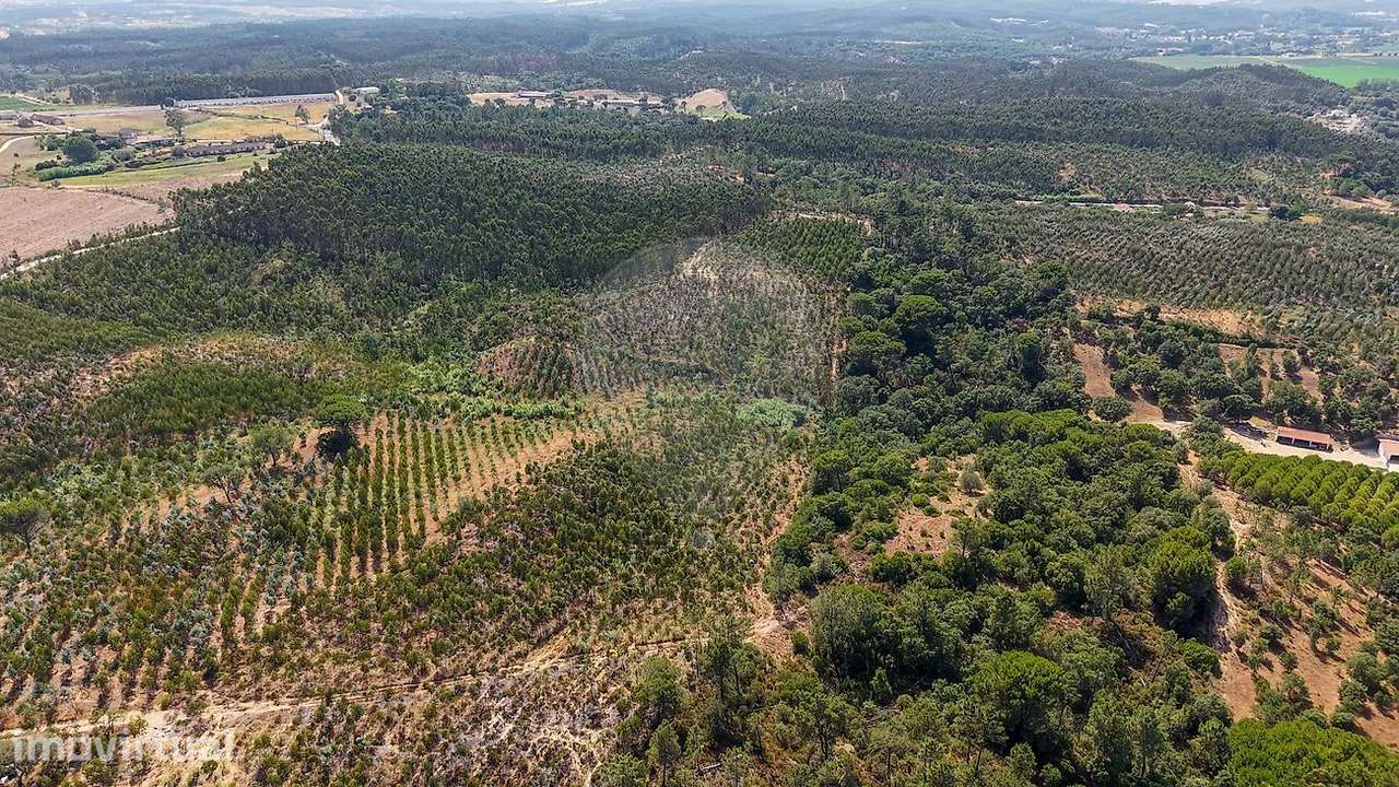 Terreno  para venda - Grande imagem: 2/18