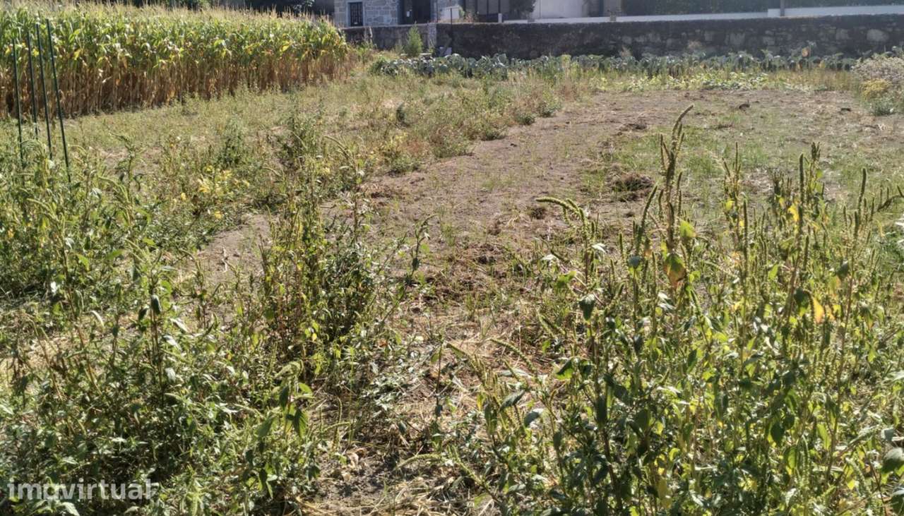 Venda de Terreno de construção com 800m², Subportela, Viana do Cast - Grande imagem: 2/25