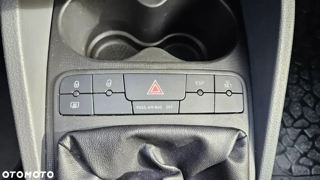 Seat Ibiza - 28