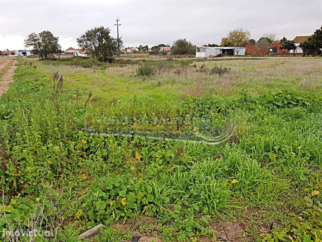 Terreno em Foros de Salvaterra (F557) - Grande imagem: 4/4