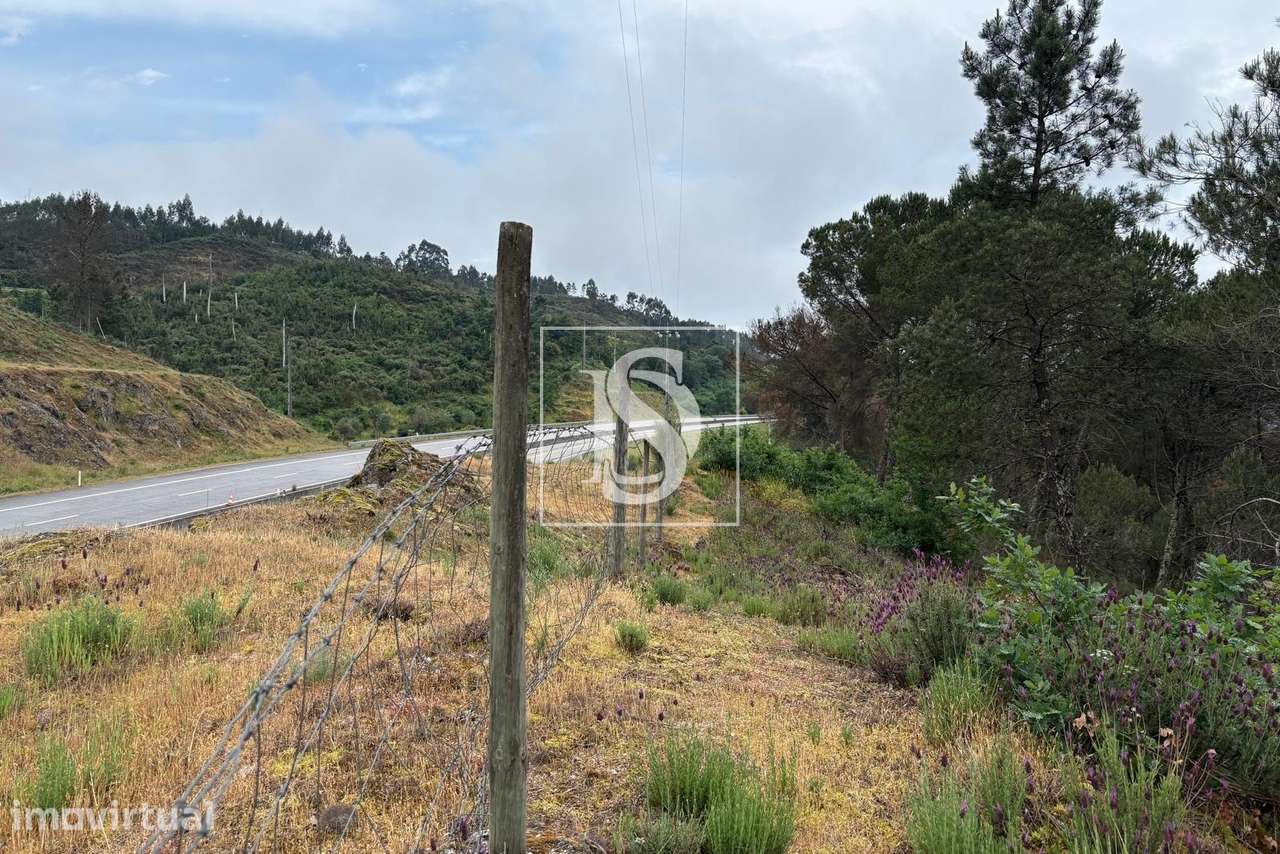 Terreno Rústico  Venda em Faíl e Vila Chã de Sá,Viseu - Grande imagem: 4/16