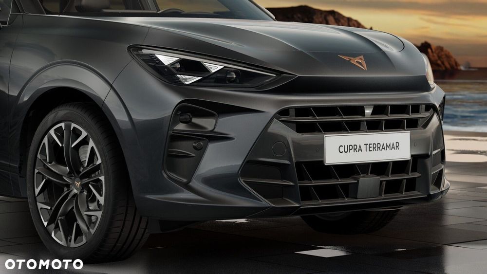 Cupra Terramar 2.0 TSI 4Drive Advantage Edition DSG - 9