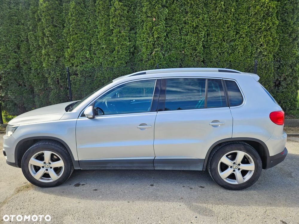 Volkswagen Tiguan - 19