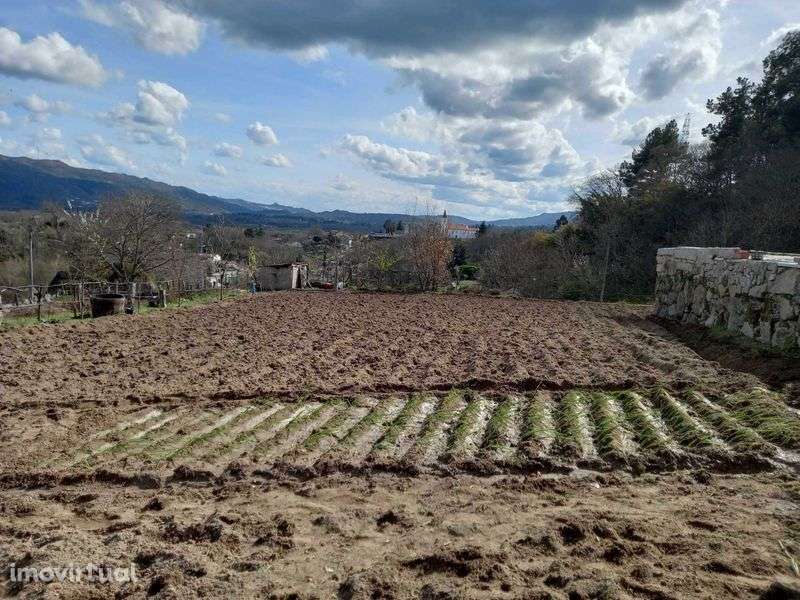 Casa e quinta para venda - Grande imagem: 3/8