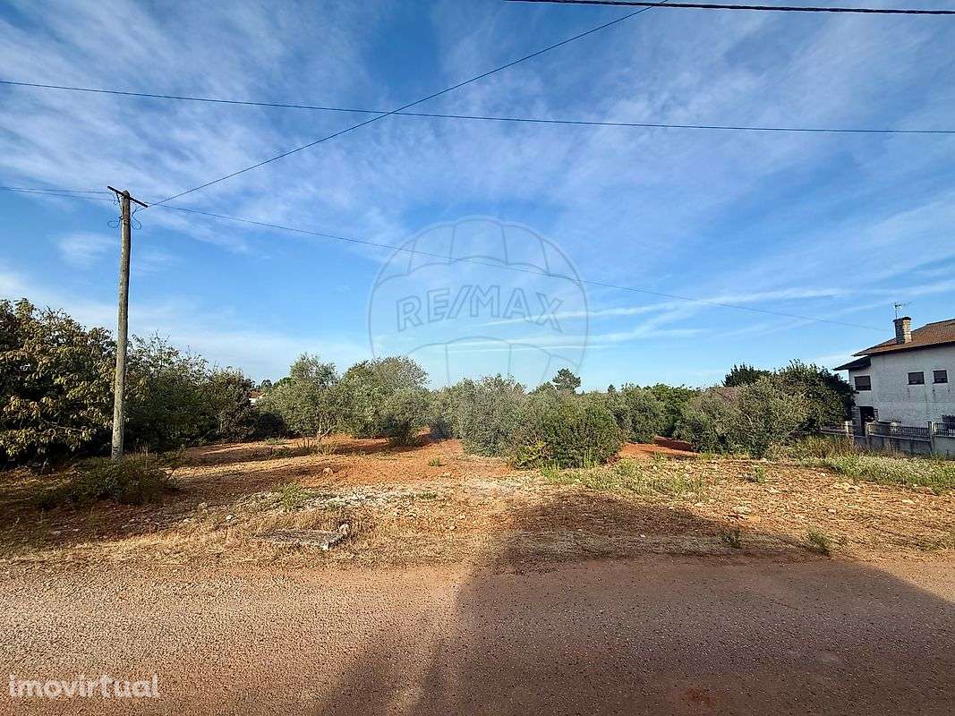 Terreno  para venda - Grande imagem: 4/15