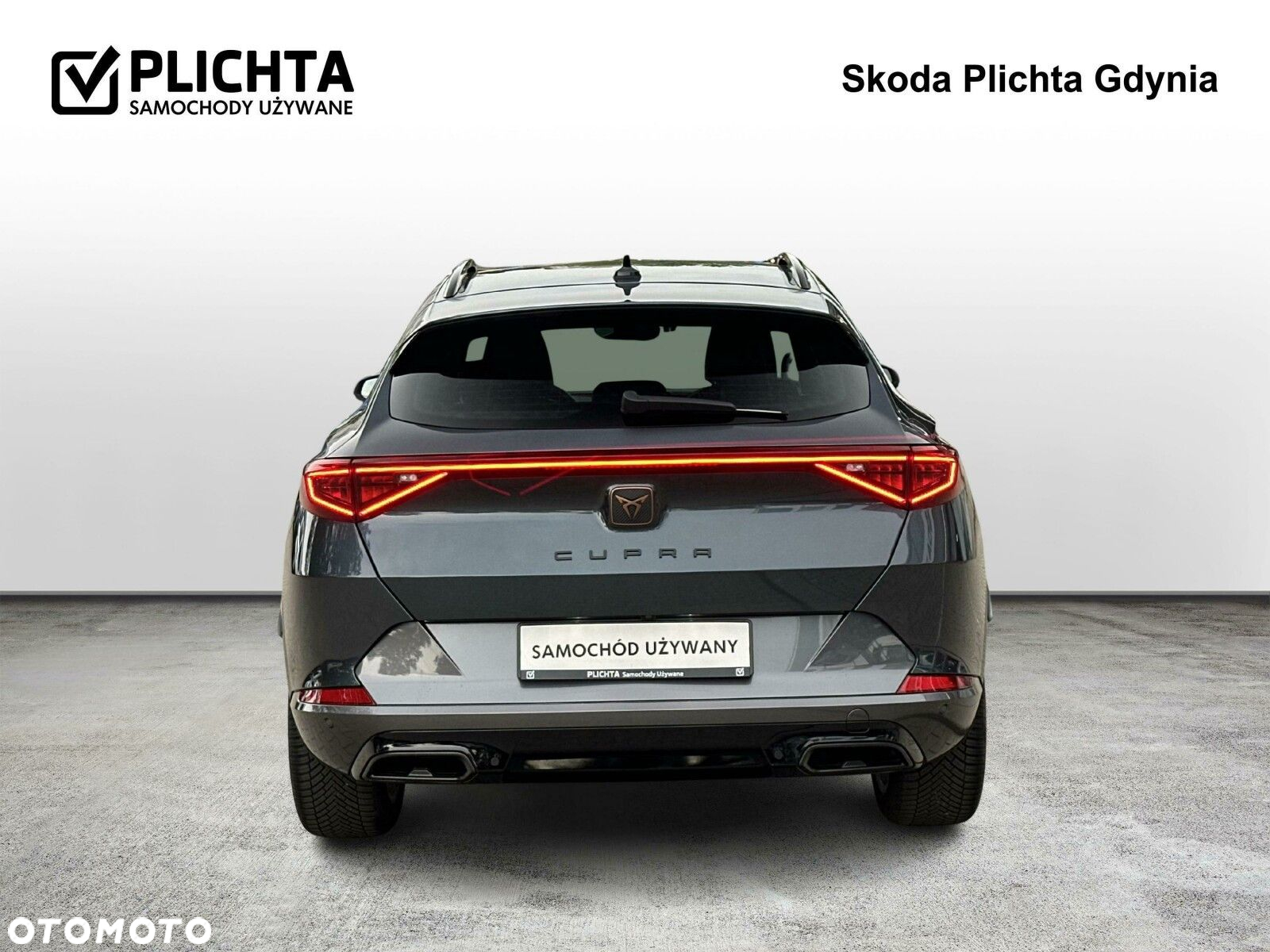 Cupra Formentor 2.0 TSI 4Drive DSG - 4