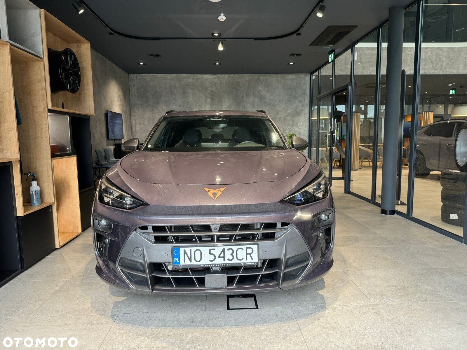 Cupra Terramar - 3