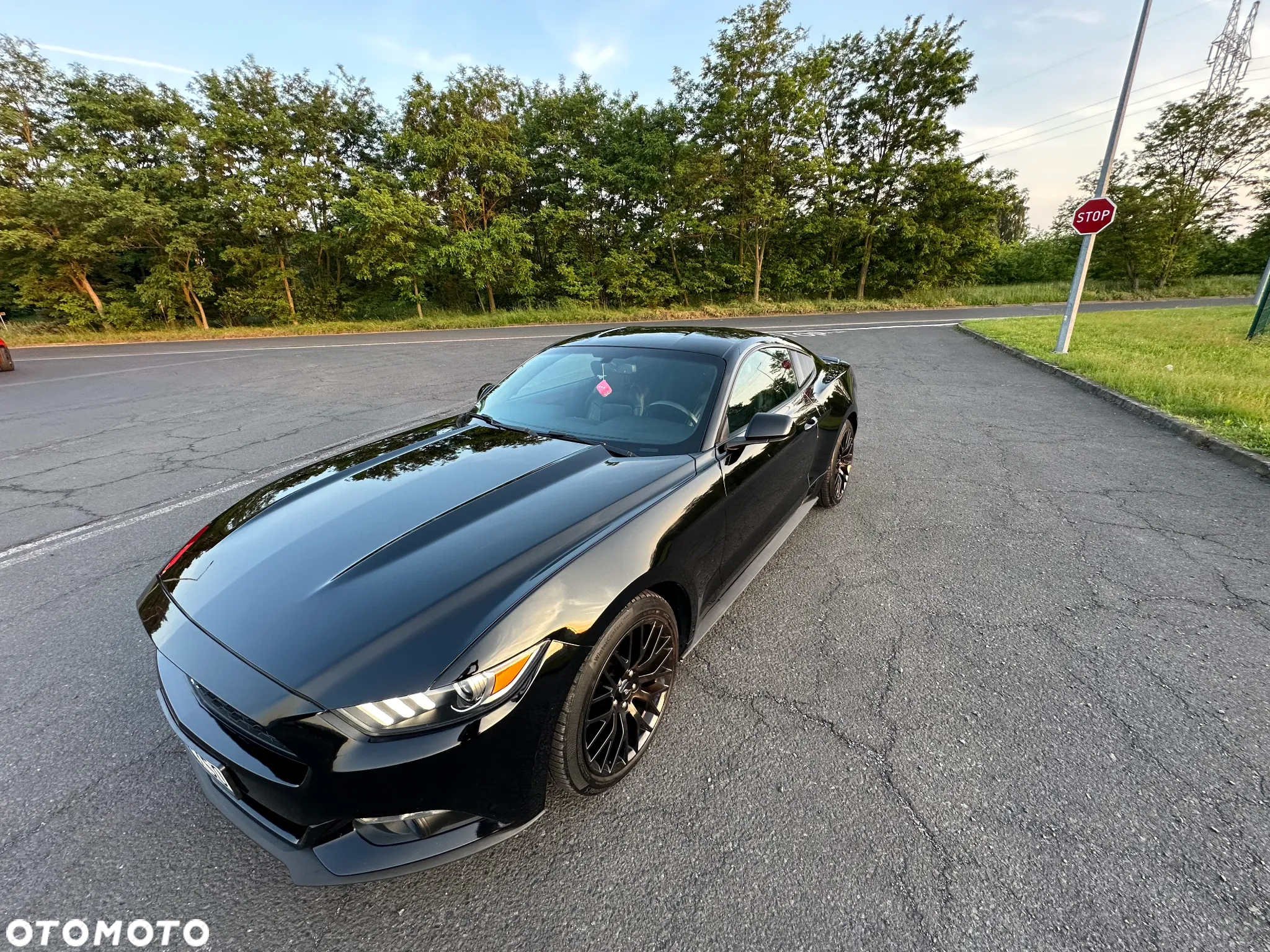 Ford Mustang - 12