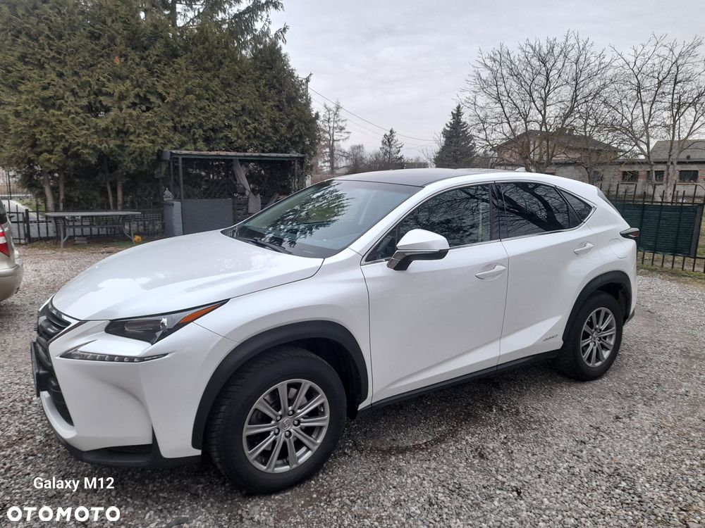 Lexus NX 300h Comfort AWD - 3