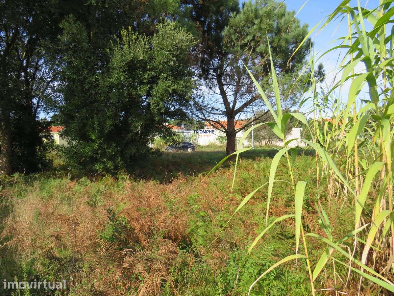 Lote de Terreno Urbano nas Gaeiras 388 m² - Grande imagem: 5/20