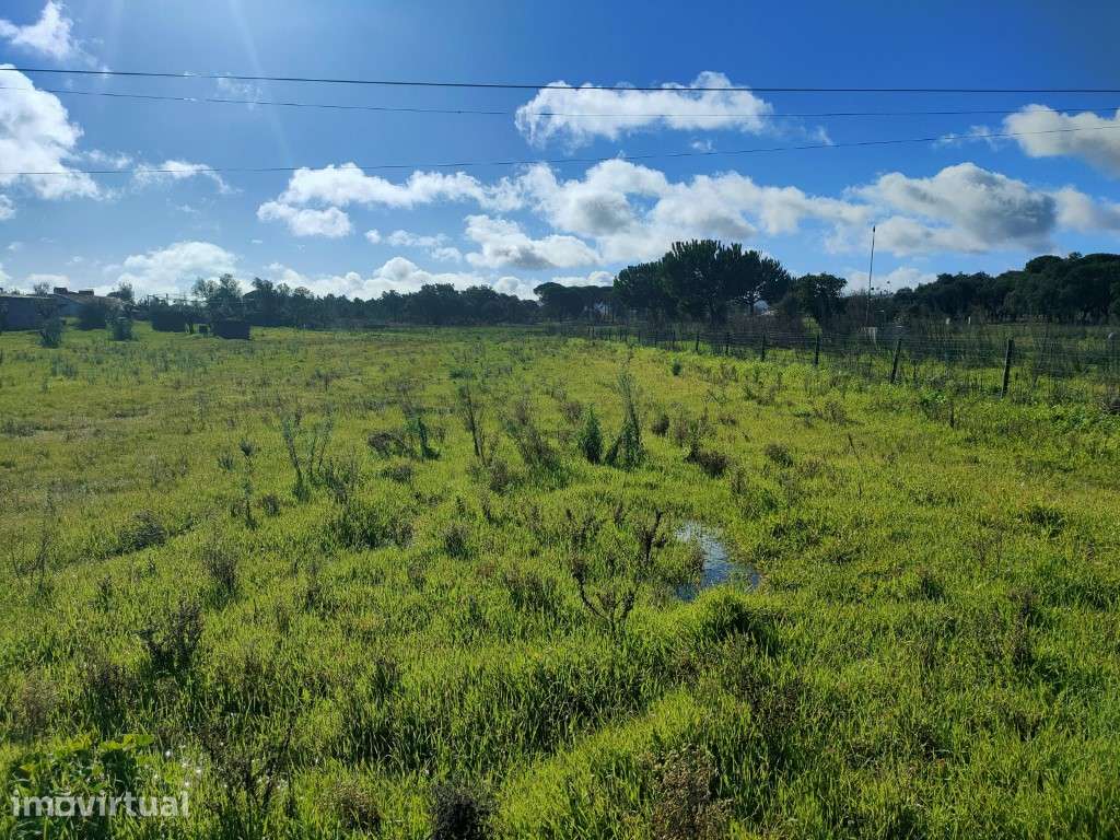 Monte com moradia para renovar em Grândola - Grande imagem: 4/11