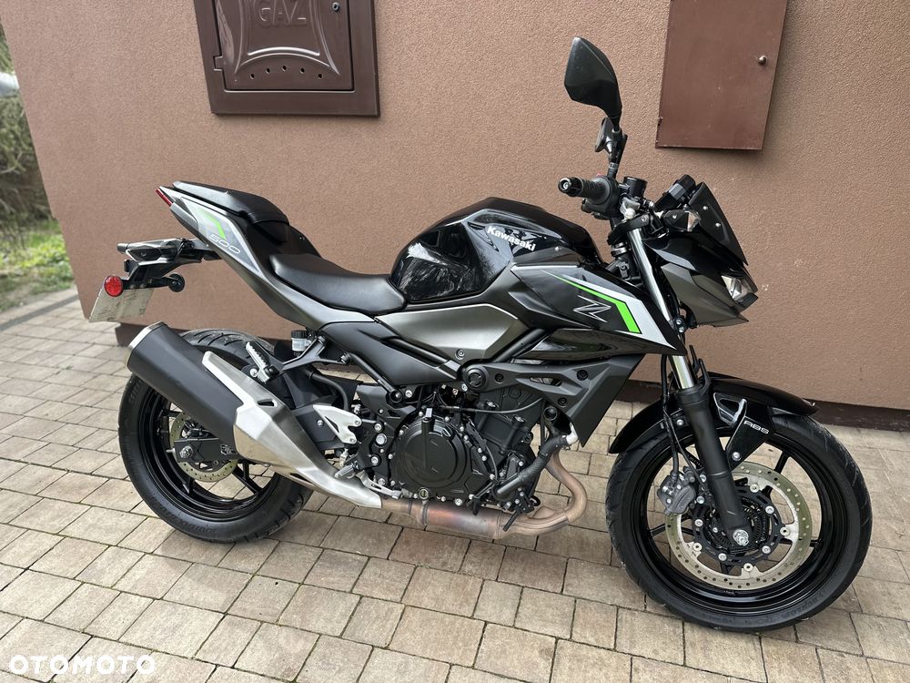 Kawasaki Z - 22