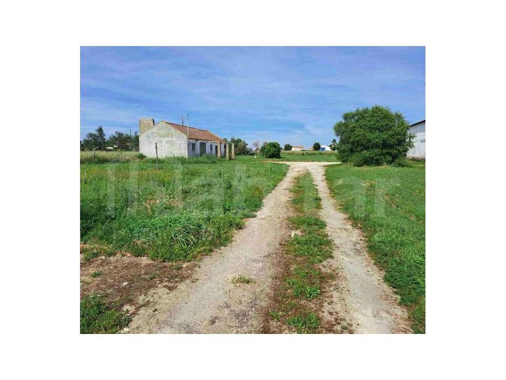 Armazém 278 m² + Adega com Terreno Urbano de 4.516 m² - Benavente - Grande imagem: 3/4