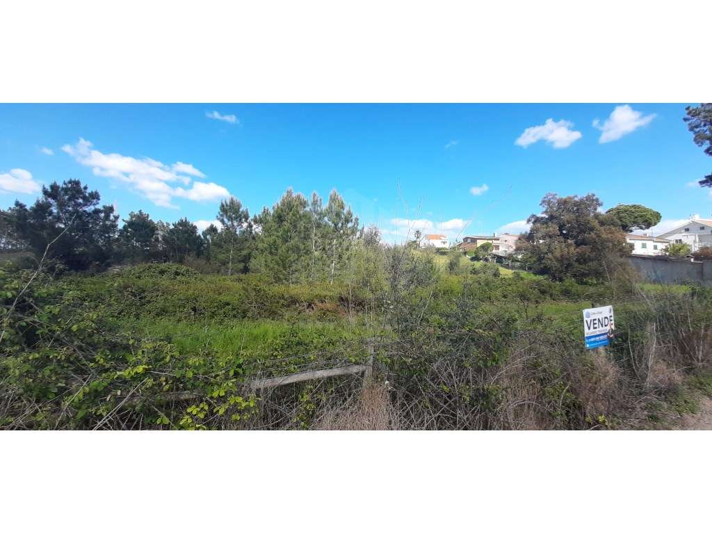 Terreno Carrasqueira - Grande imagem: 5/13