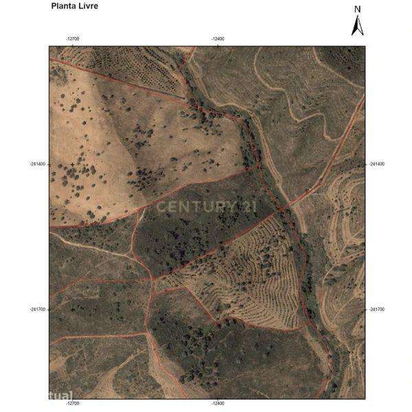 Terreno Rústico com 3,8 Hectares – Santana da Serra - Grande imagem: 2/3
