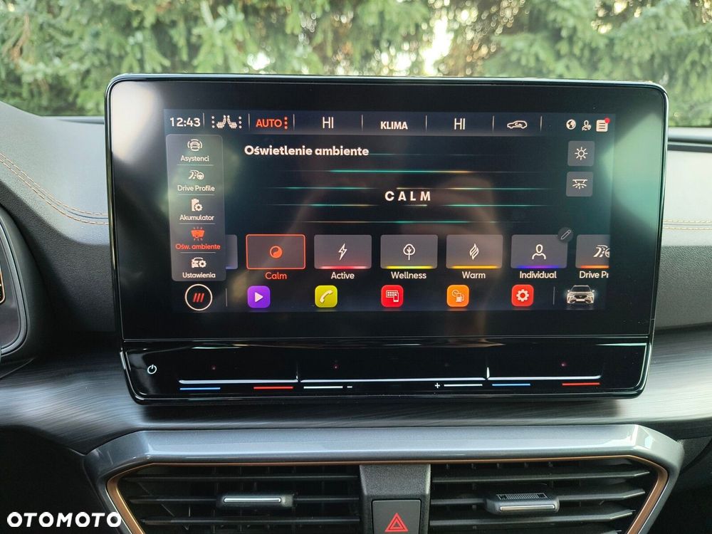 Cupra Formentor - 35