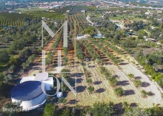 Quinta Exclusiva de 55.700m2 – Lagoa, Algarve - Grande imagem: 5/27