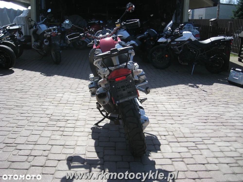Triumph Tiger - 4