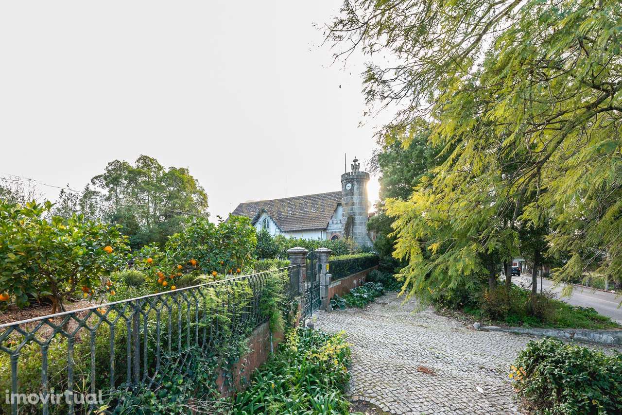 Quinta das Baldrucas - Grande imagem: 4/58