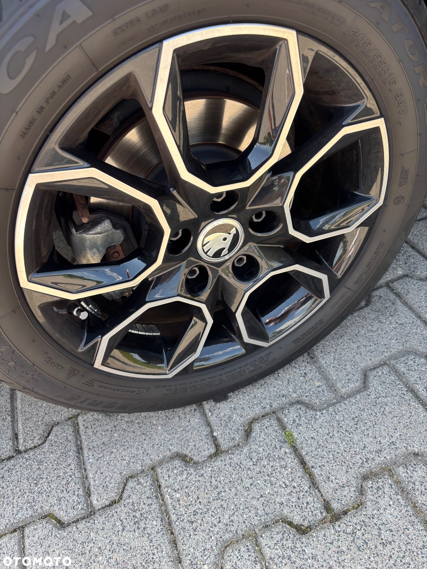 Skoda Octavia 1.4 TSI Ambiente - 6